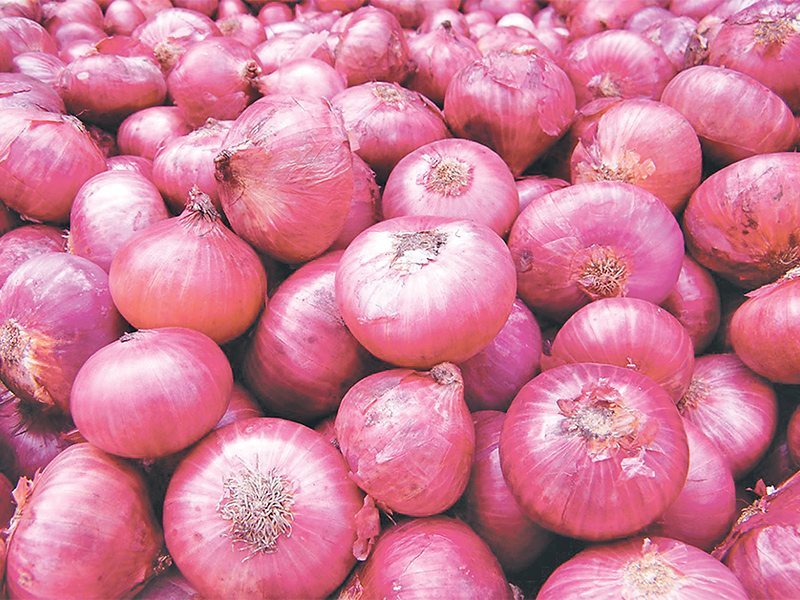 Onion sales drop with prices hitting highs