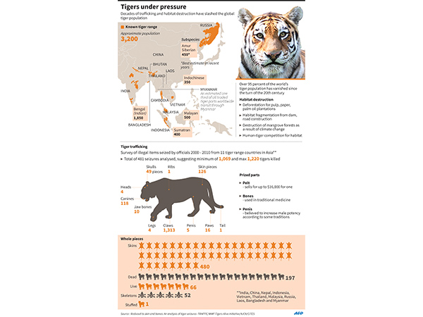 Zero Poaching Nepal feted for zero poaching yrs
