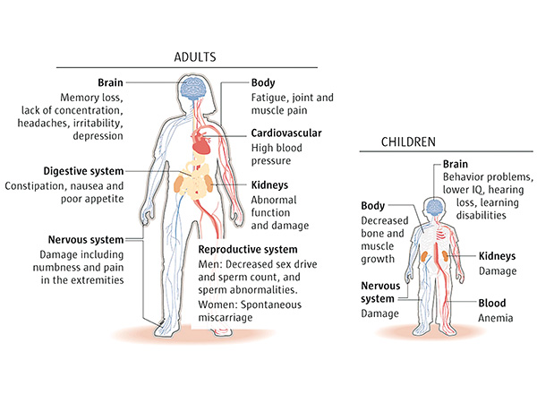 The dangers of lead