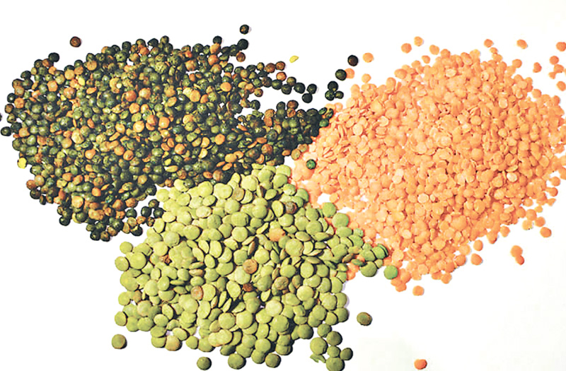 Nepal world’s 5th largest lentil producer in 2014
