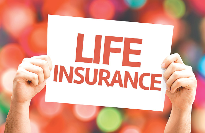 The Best Whole Life Insurance You Picked Whole Life Insurance. Now What? NerdWallet