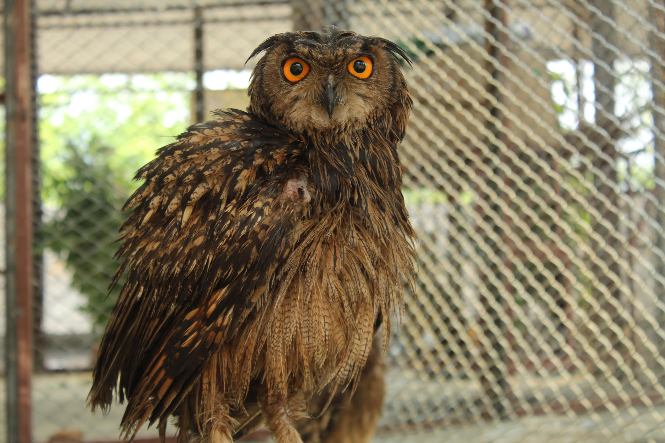 Wildlife rescue centre donated Rs 1.1 million