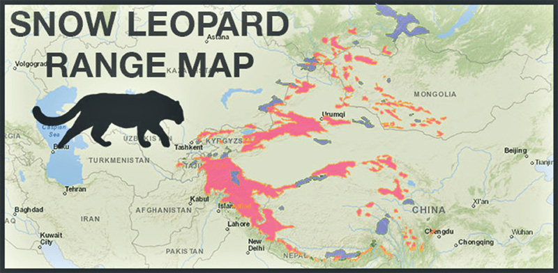 Snow Leopard Territory Map