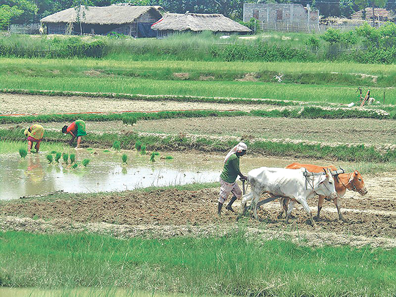 Floods, landslides to hit agri output, raise food prices