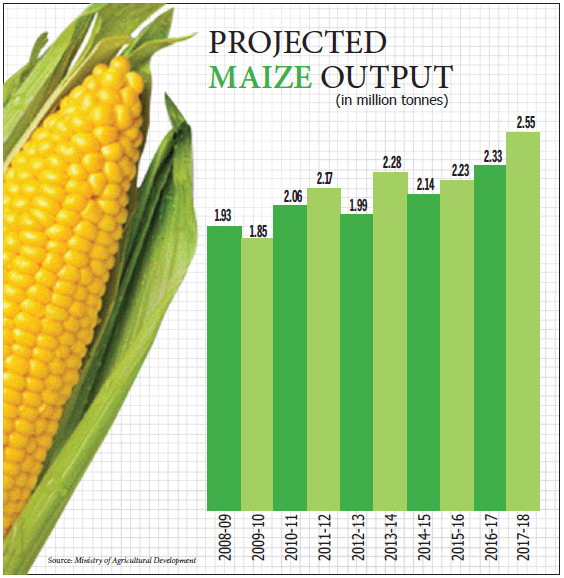 Maize output to hit all-time high of  million tonnes