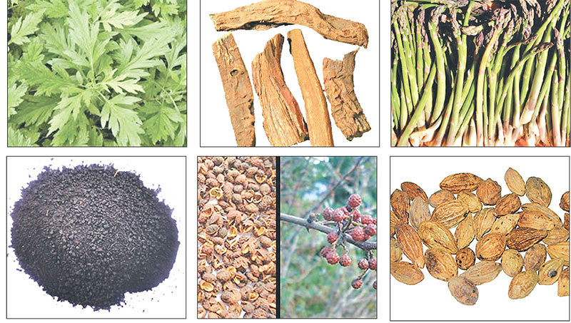 potential-of-nepali-herbal-products-still-untapped