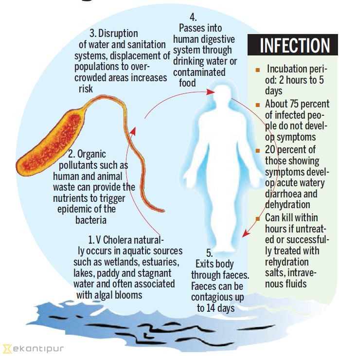 First cholera case confirmed in Kathmandu