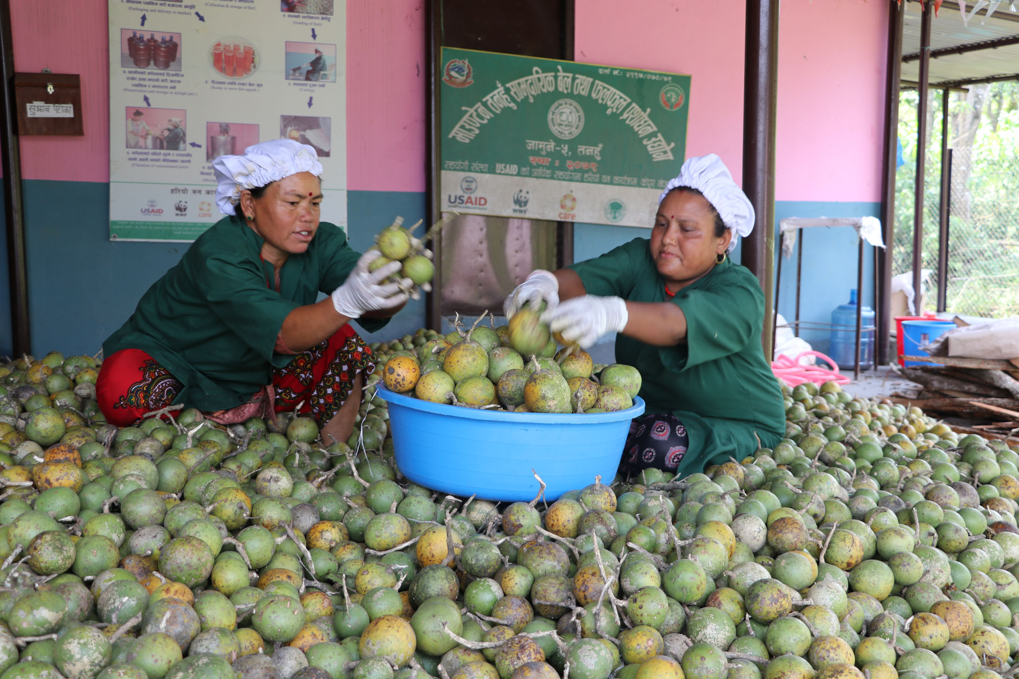 wood-apple-juice-factory-turns-boon-for-rural-women