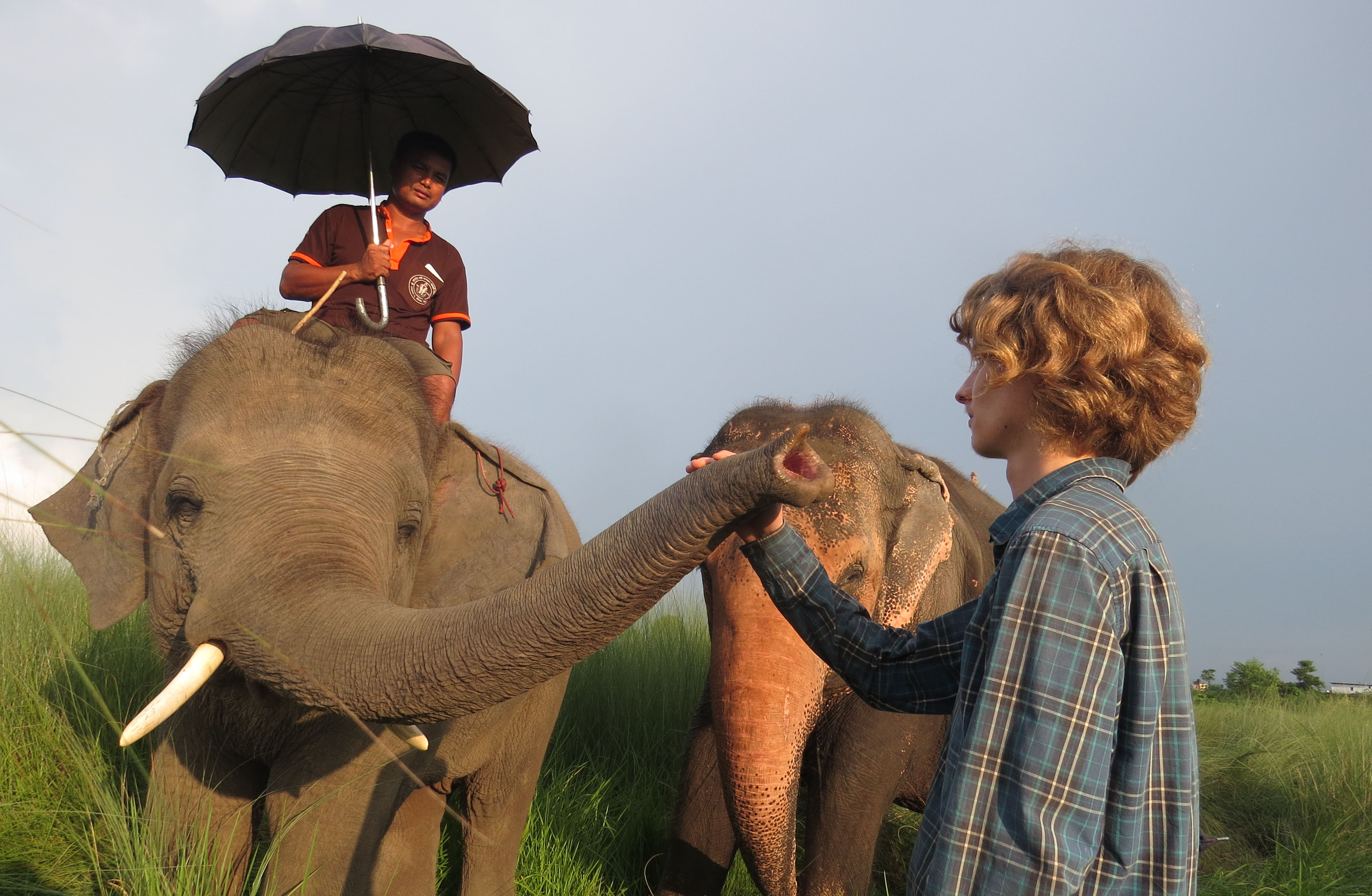With criticism growing, fewer tourists are riding elephants in Chitwan
