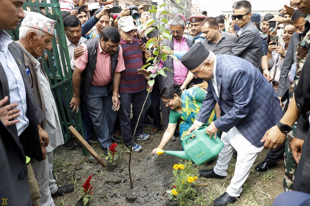 Government launches nationwide tree plantation campaign, but experts