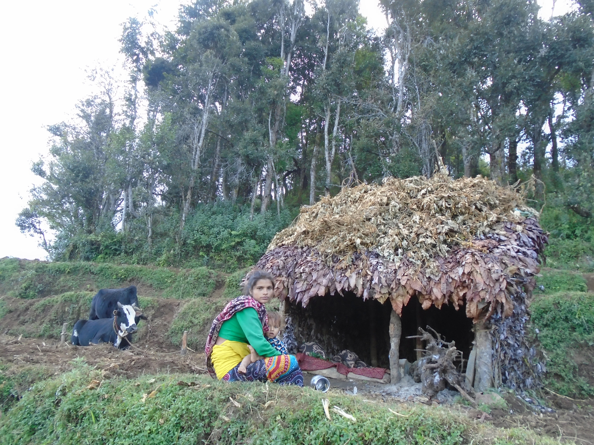 Everything You Need To Know About Chhaupadi The Taboo Ritual Of Banishing Women To Period Huts