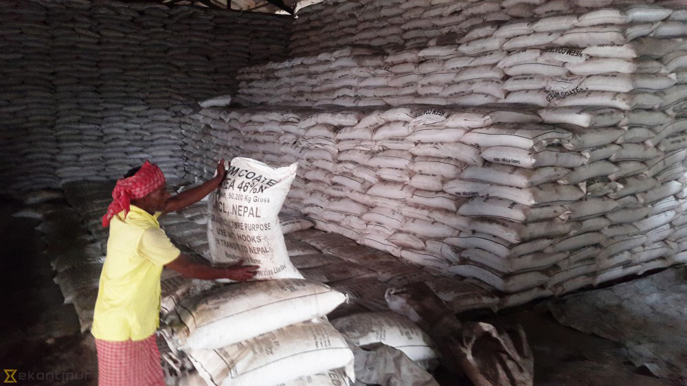 55,000 tonnes of chemical fertiliser imported for paddy season