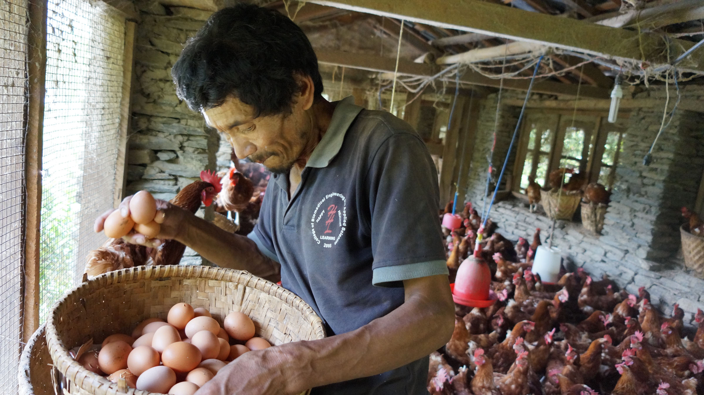 Beef Prices Are The New Egg Prices Theyre Soaring How To Feed Your Family Without Breaking The Bank - 9u1p9n7