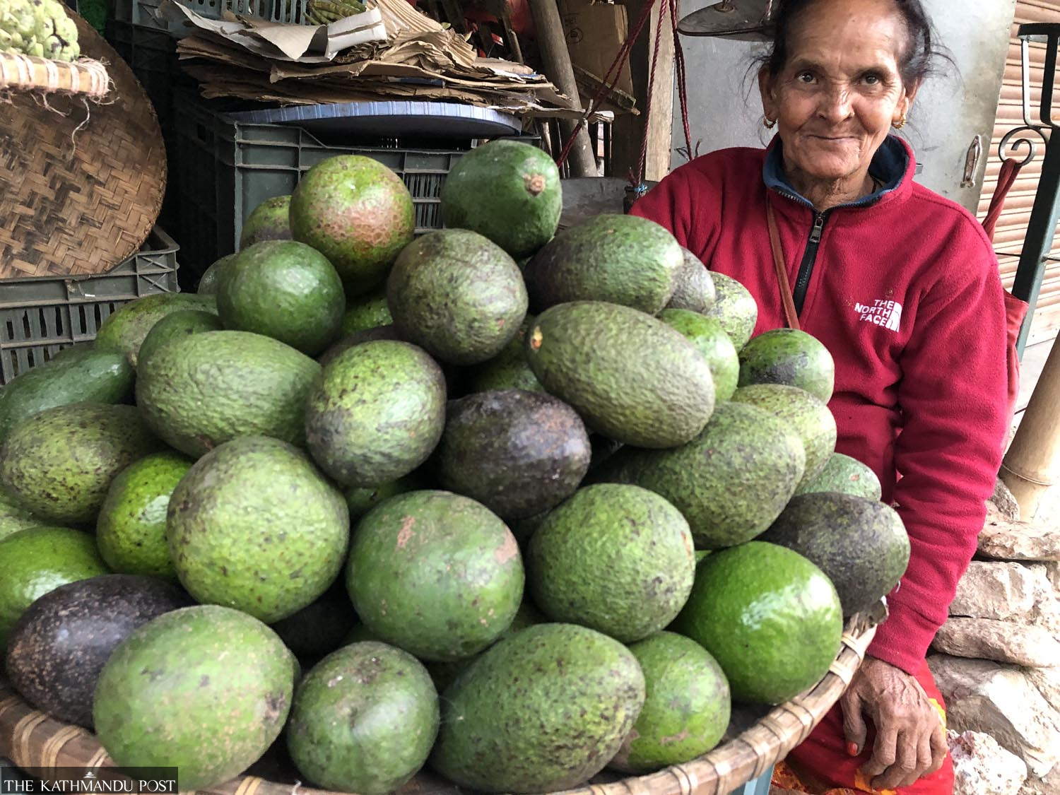 Orange Farmers Prosper After Switching To Avocados