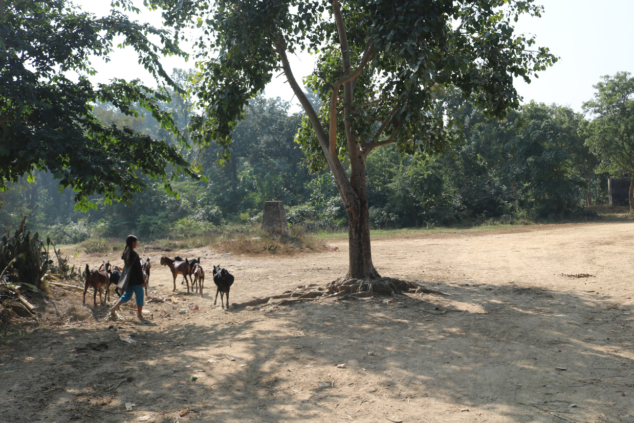 Bardiya District Administration Office requests locals to not enter ...