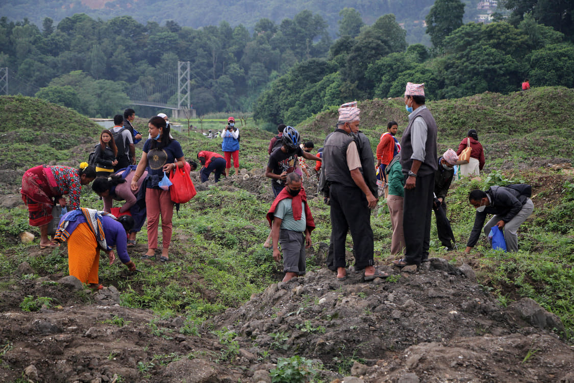 Khokana locals carry out ‘paddy transplantation protest’ against the ...