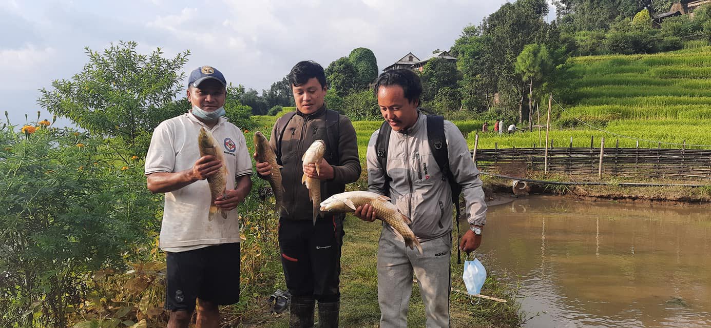 essay on fish farming in nepali language