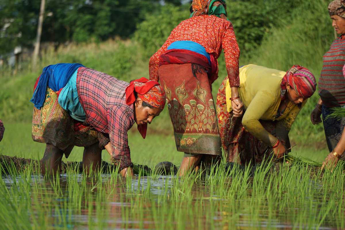 Women’s contributions to development