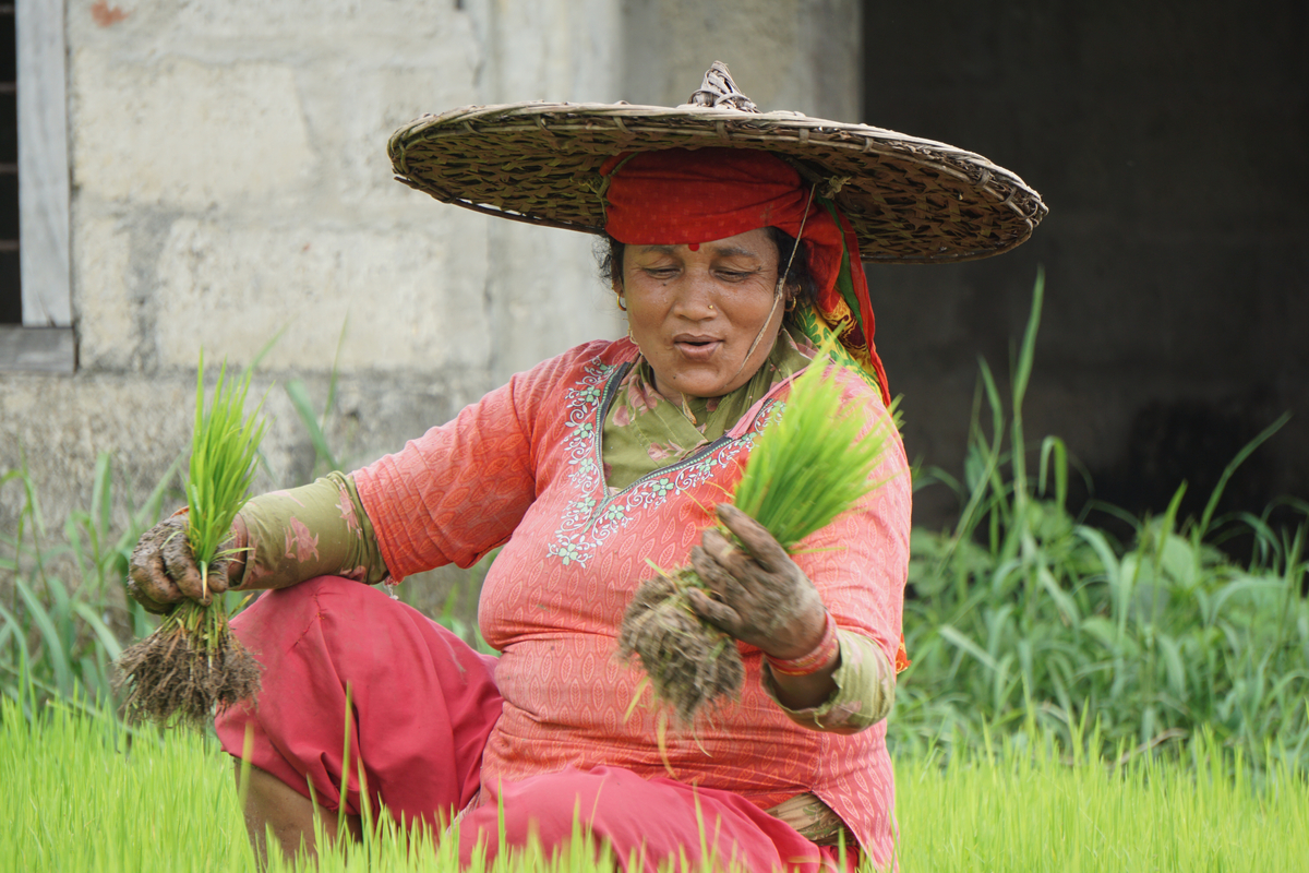 From farming to female empowerment