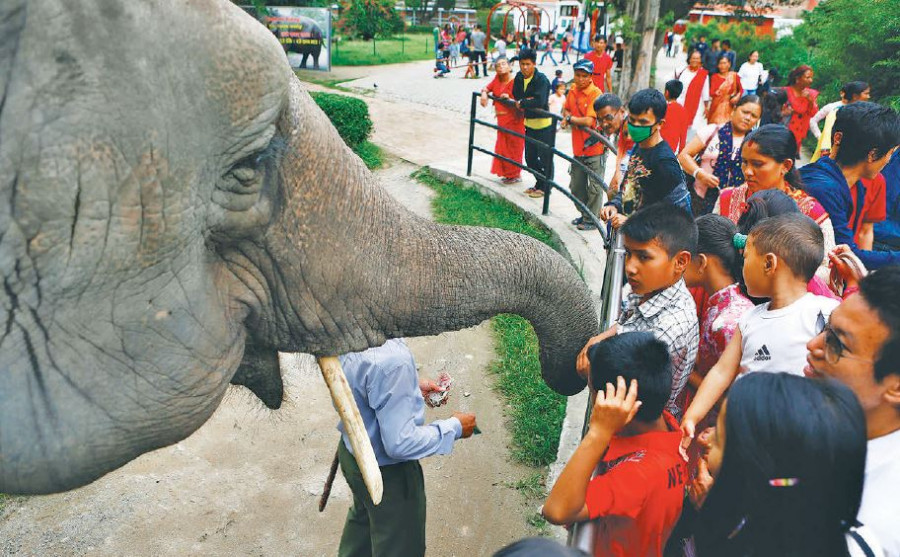 Central Zoo Launches ‘Adopt An Animal’ Campaign As It Struggles To Survive