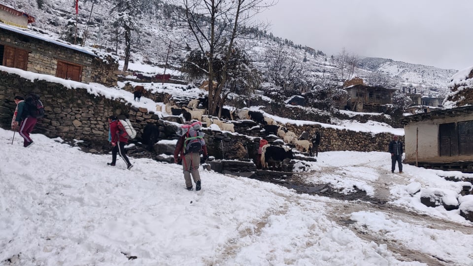 Mugu and Humla districts see heavy snowfall on Monday