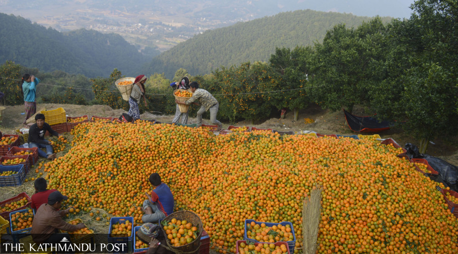 In new fiscal year, hopes for economic revival hinge on jabs