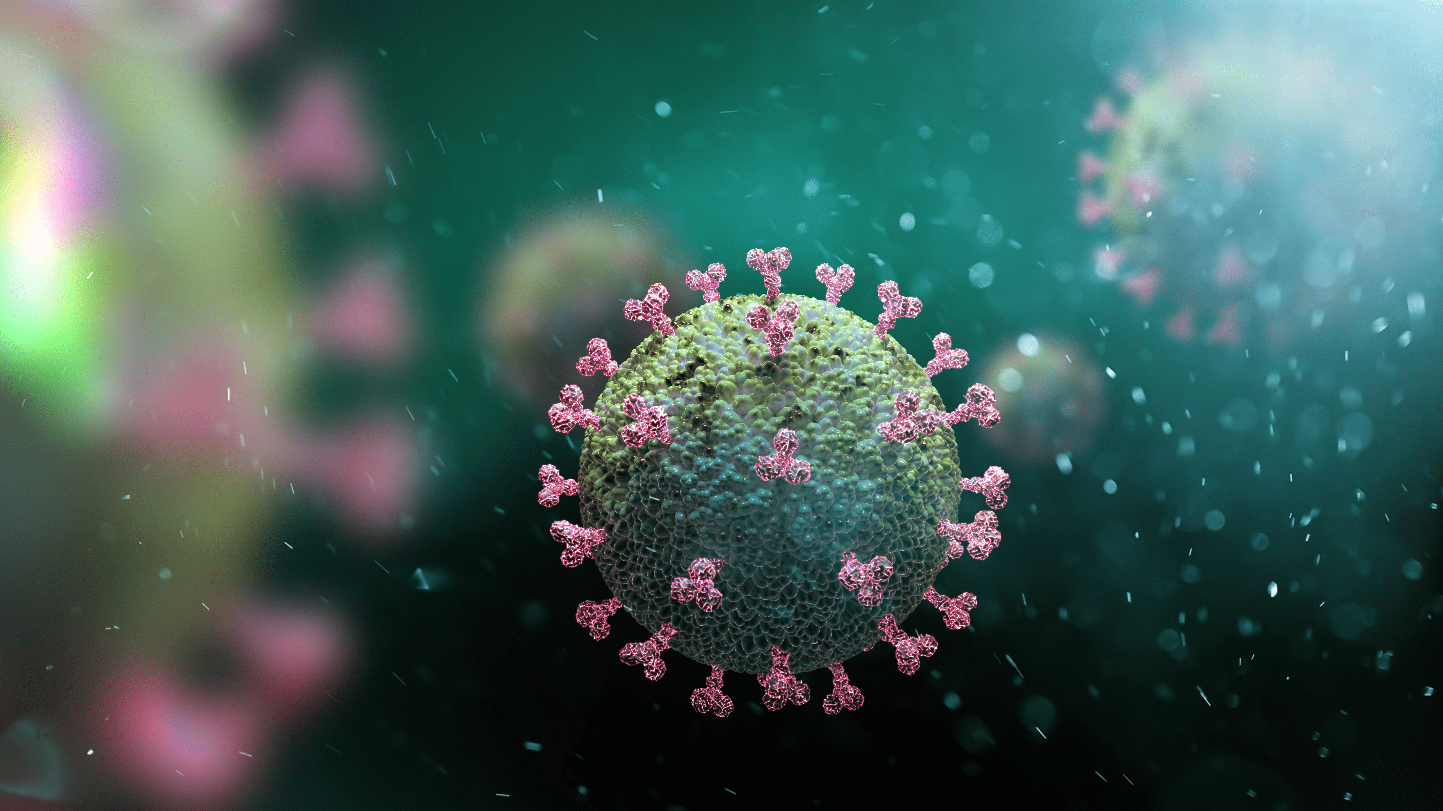 No Nepal Variant Of The Coronavirus Who Says
