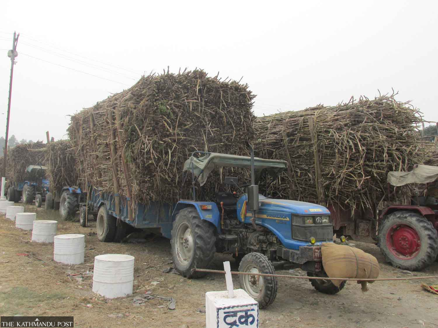 Sugarcane farmers demand Rs20 per quintal minimum for this ...