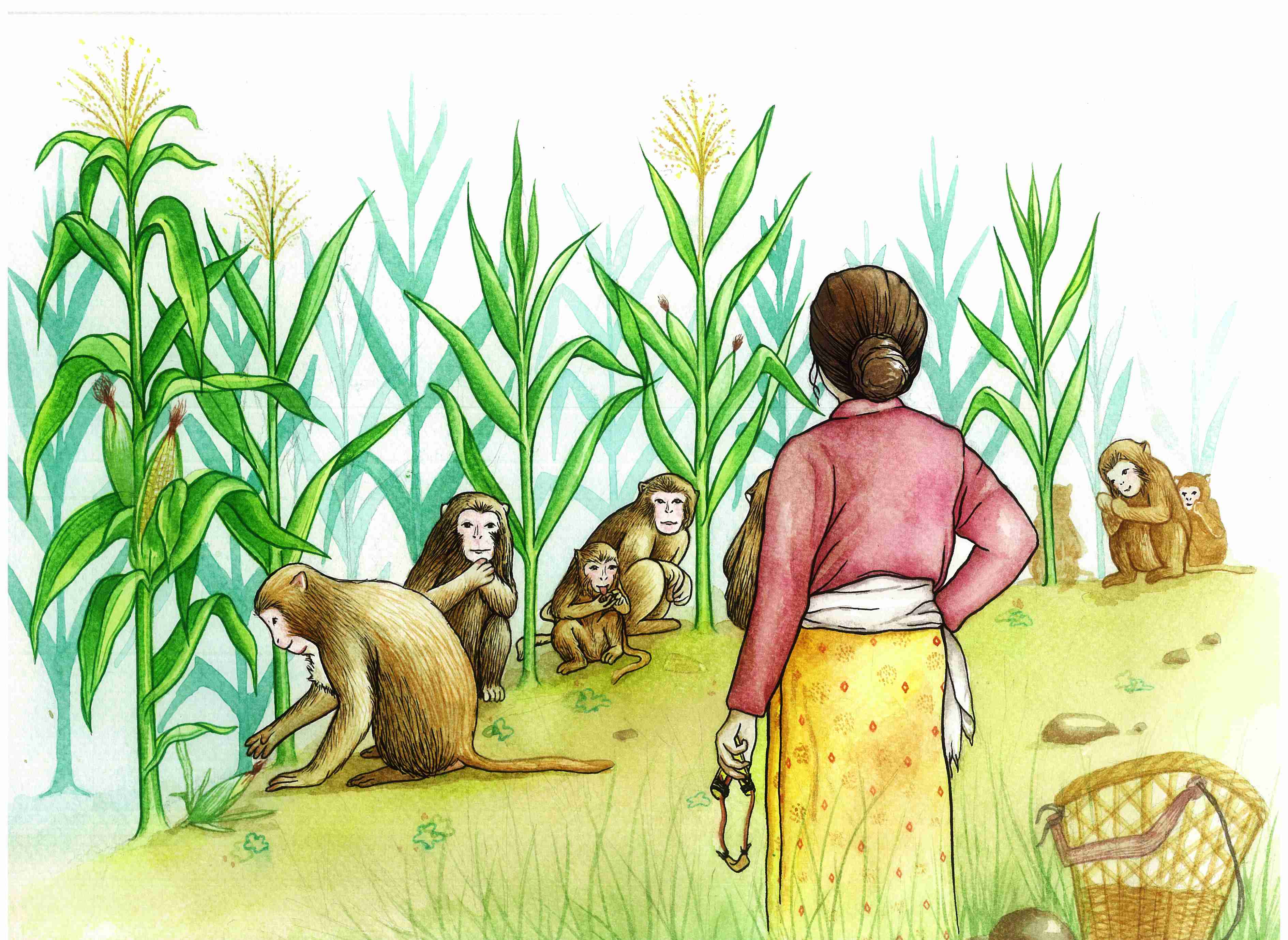 Monkey menace in Vrindaban - The Economic Times