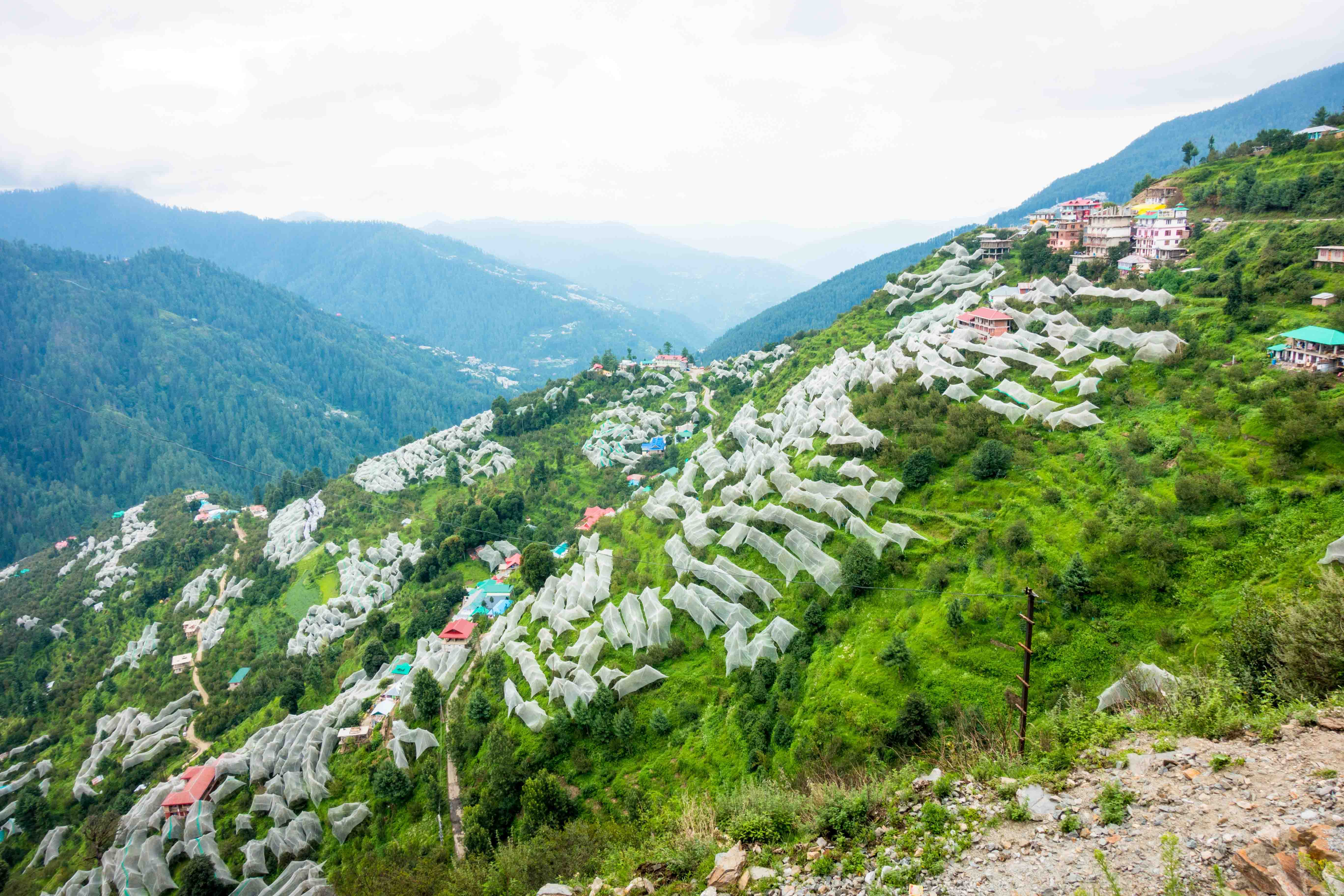 Finding Snow Near Shimla in June: What You Need to Know