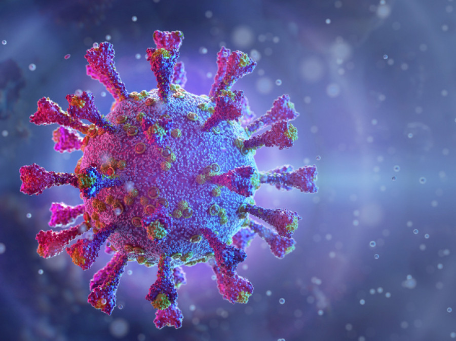 Nepal records 99 Covid-19 cases in last 24 hours