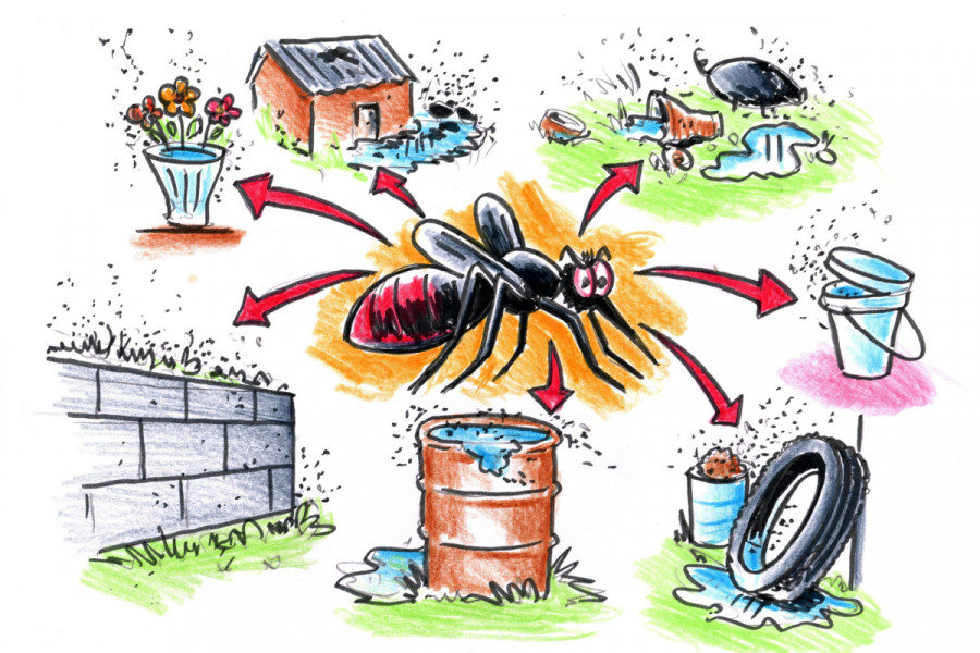 experts-warn-of-outbreaks-of-water-and-vector-borne-diseases-as