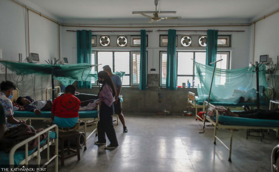 Dengue cases reported from 72 local units