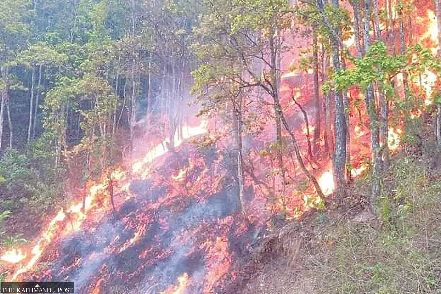 Fires continue to ravage homes, displace people - Vimarsana News