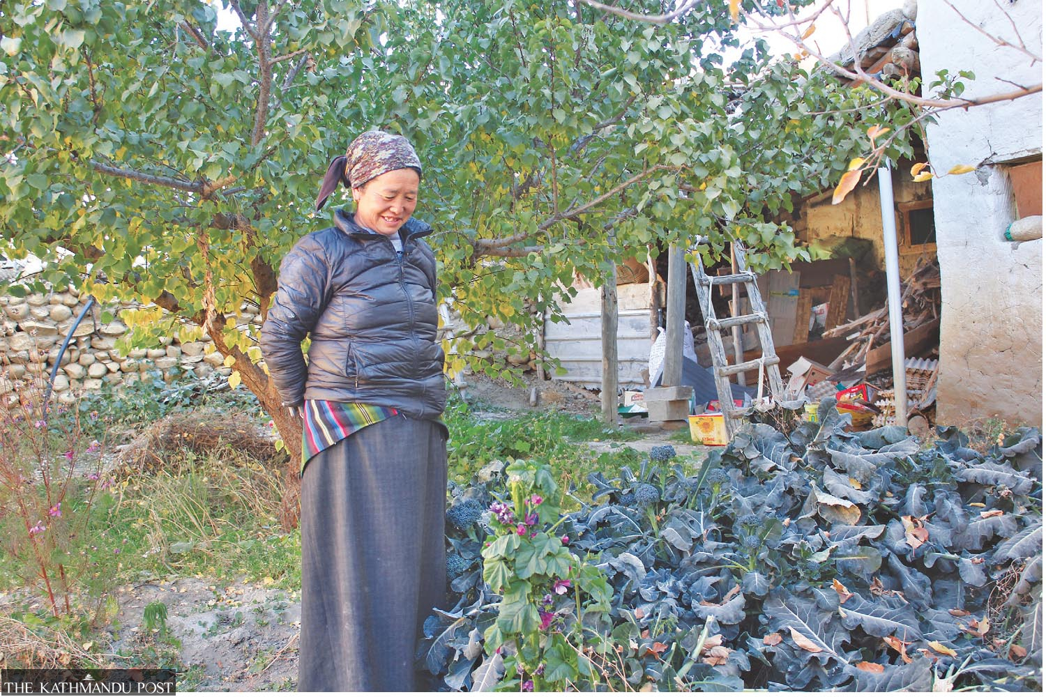 Lowland vegetables growing in mountain region