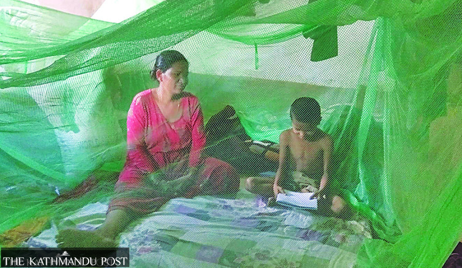 Nepals to push malaria goal to 2030 as 2026 proves unattainable