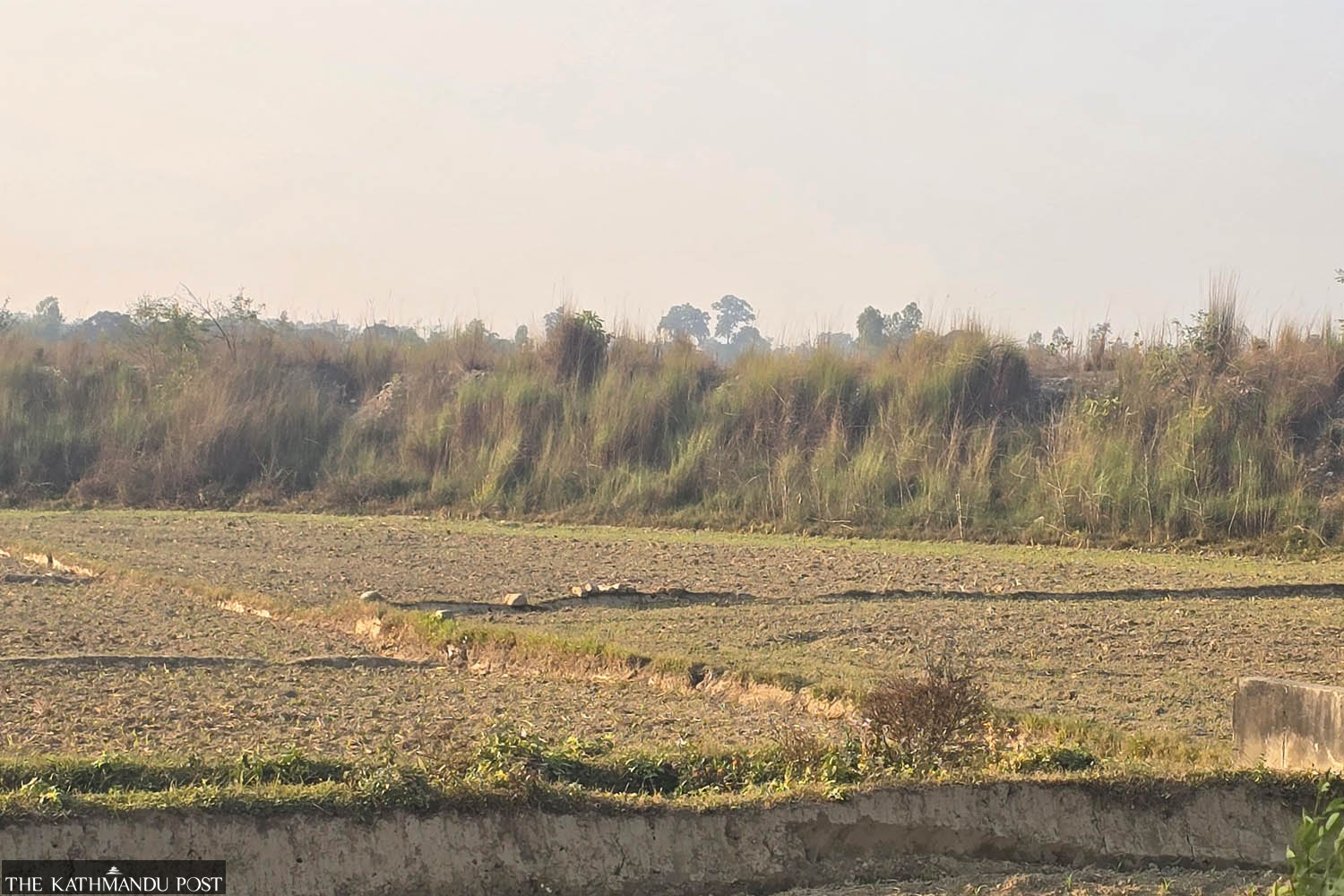 Land compensation dispute stalls electric railway project work in Rautahat