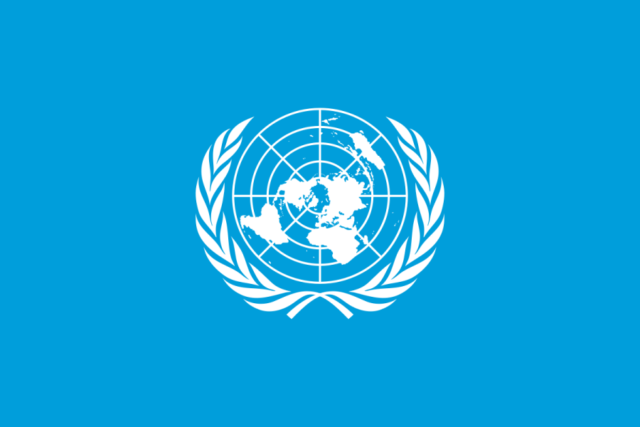 Nepal bidding for UN Human Rights Council, ECOSOC and several UN bodies - Vimarsana News