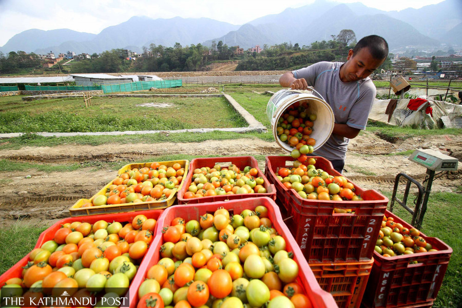 Vegetable prices rise due to poor rains, low yields and Indian export taxes - Vimarsana News
