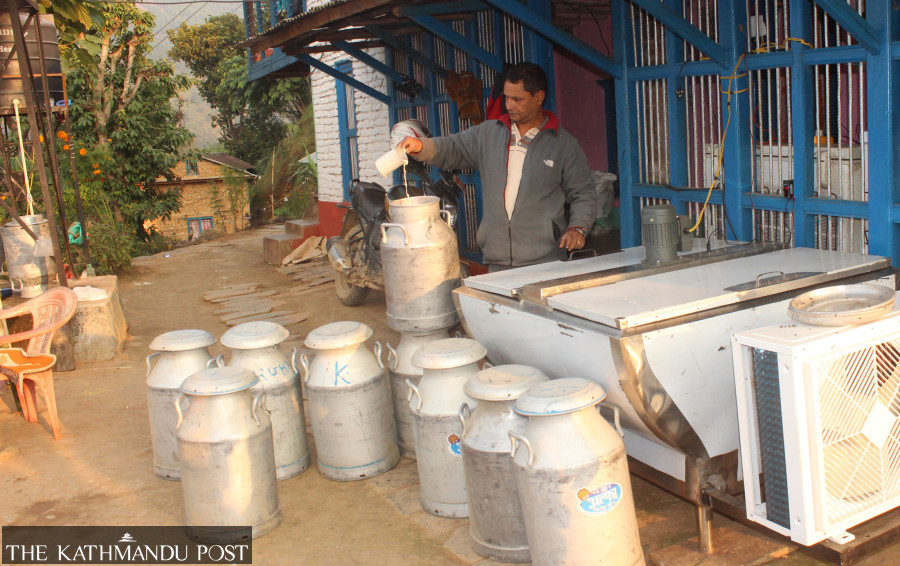 Dairy cooperatives body issues ultimatum over unpaid farmer dues - Vimarsana News