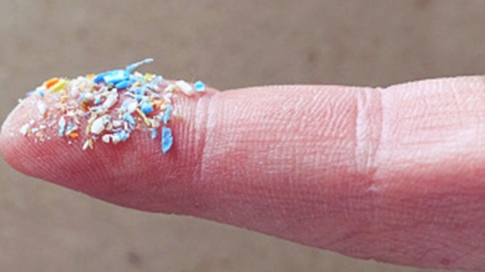 India's health experts sound alarm bells on microplastics