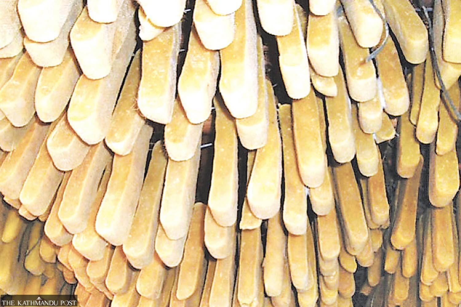 Dog chew exports pace up to match tea in value