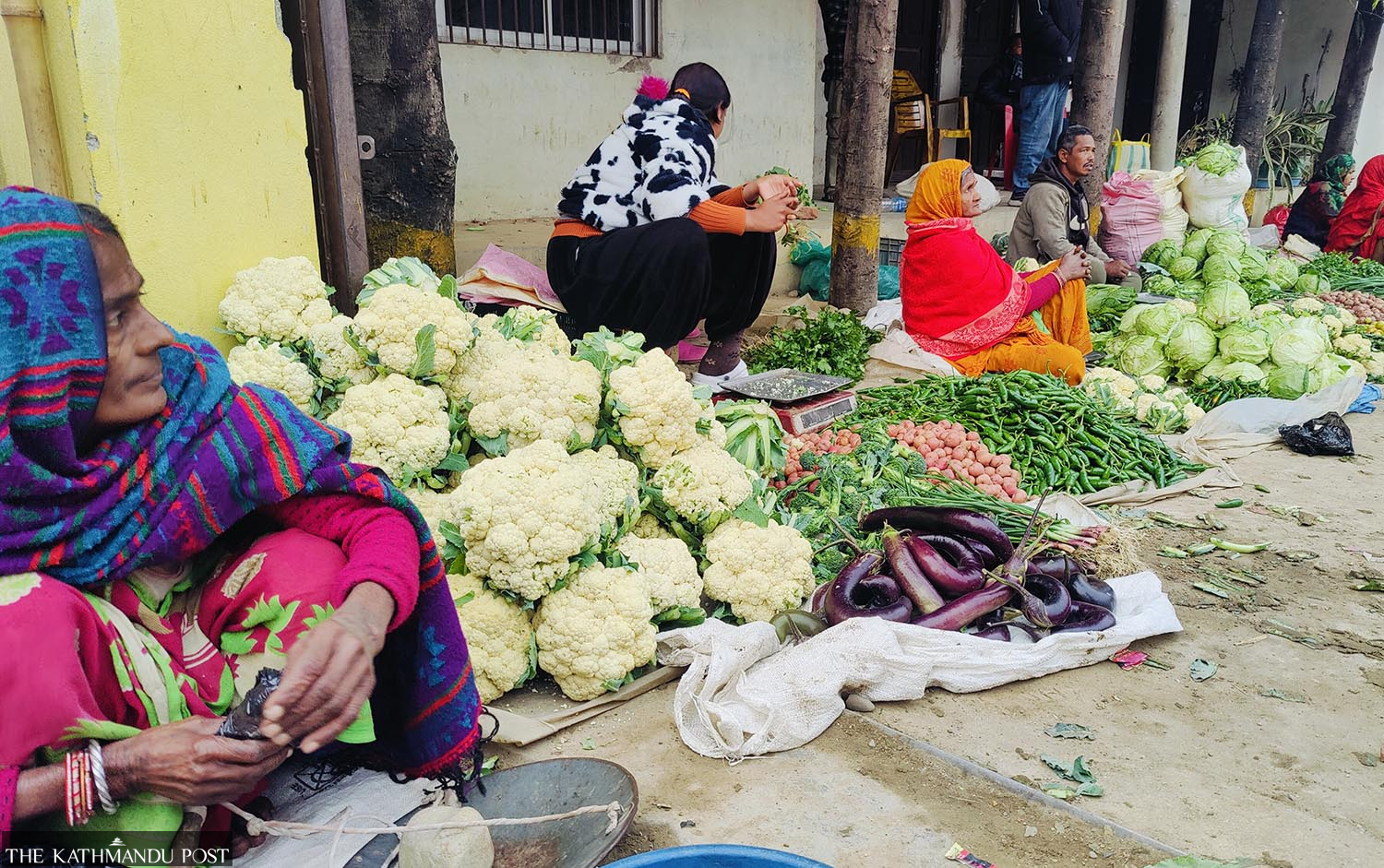 Farmers in Mahottari struggle as vegetable prices plummet