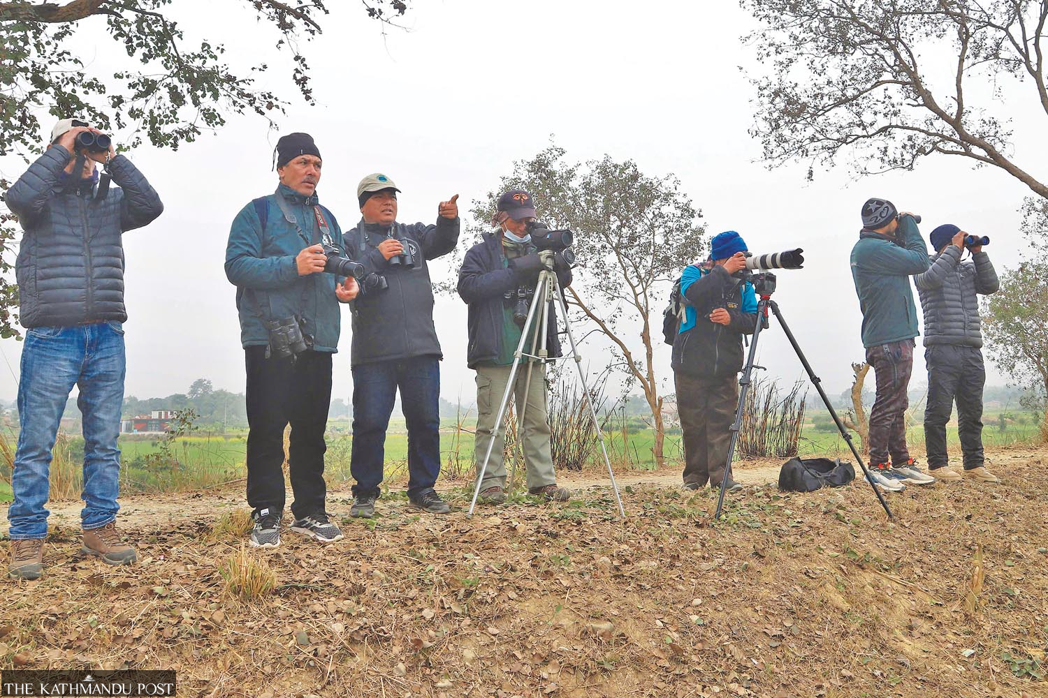 Nationwide count of water birds kicks off