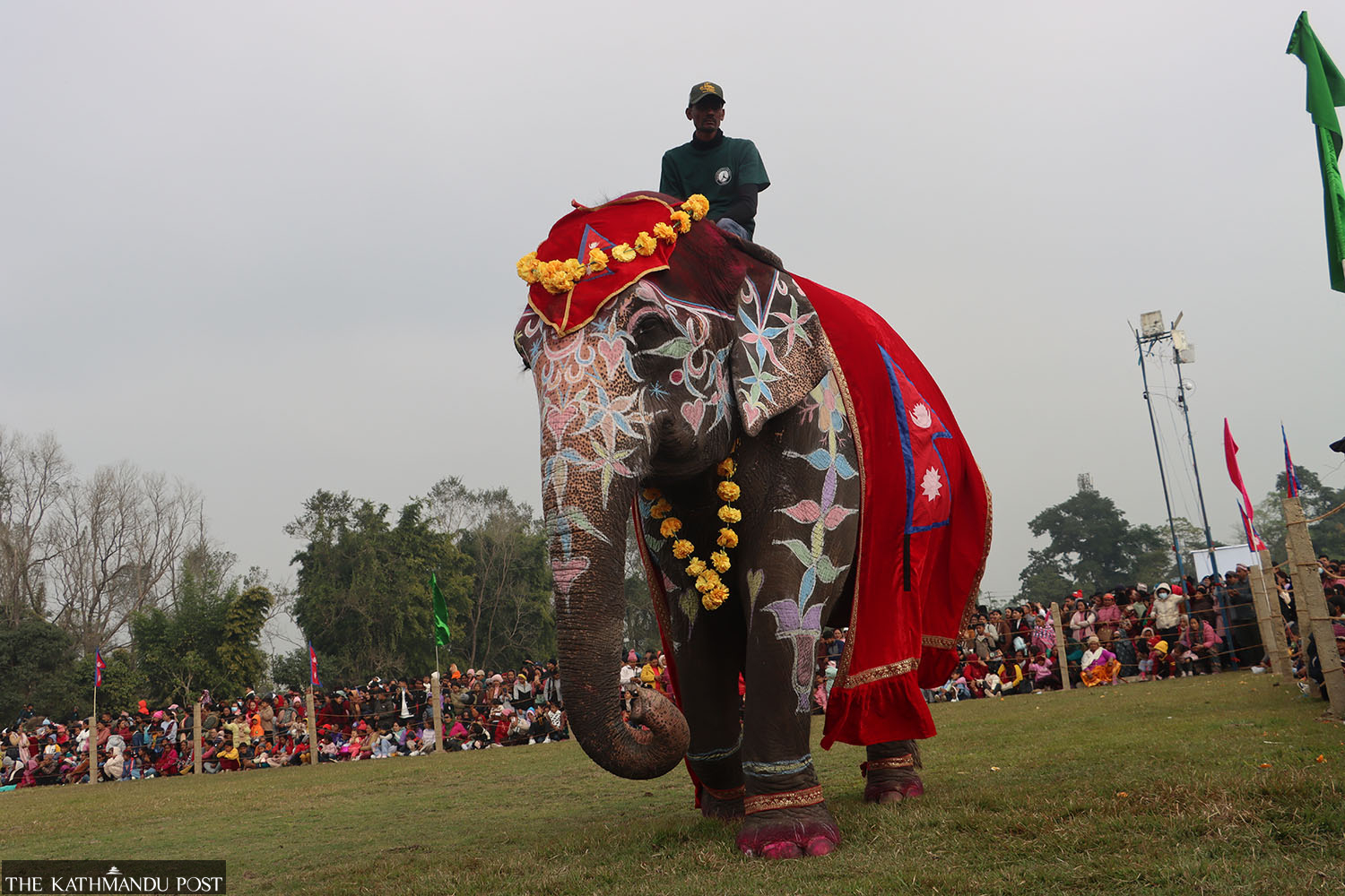 Elephant festival revives Sauraha tourism after prolonged slump