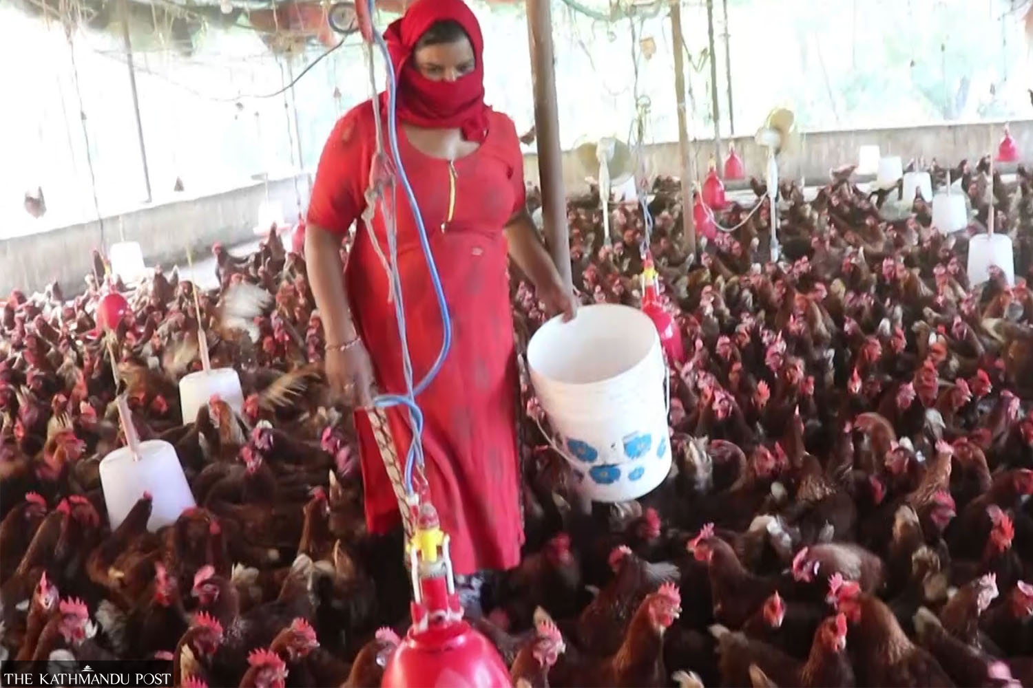 Interest-free loans draw youths to entrepreneurship