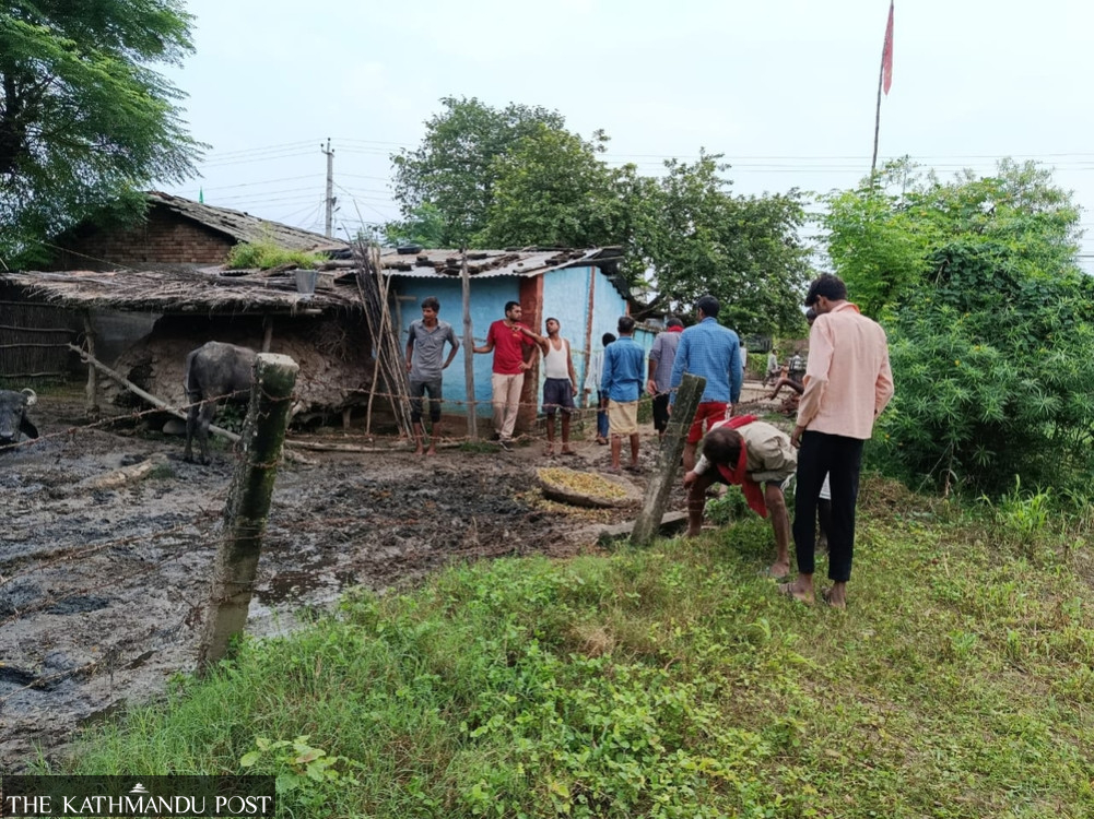 Growing leopard attacks spread terror in Bardiya villages