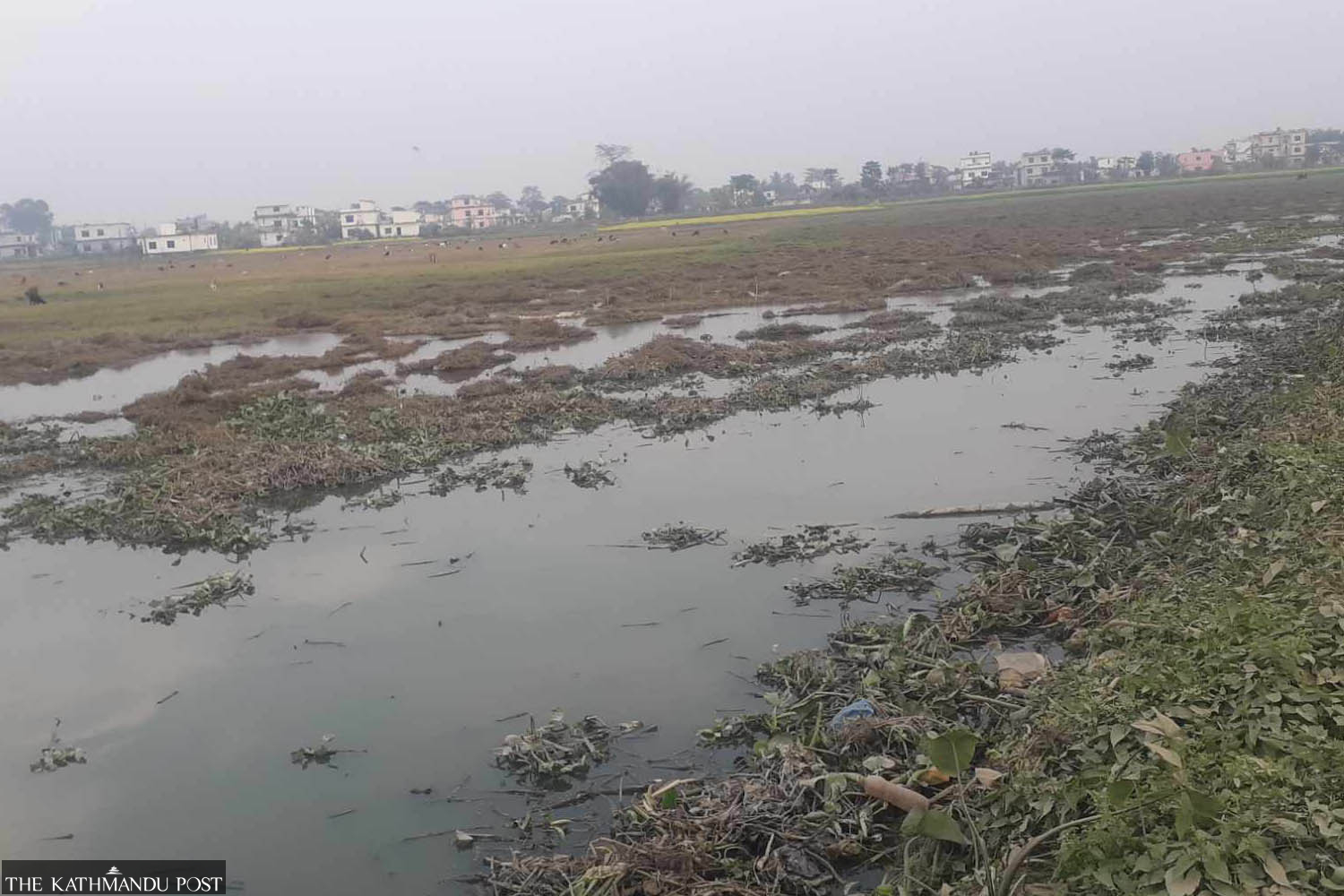 Locals protest ‘reckless’ plan to release industrial wastewater into rivers