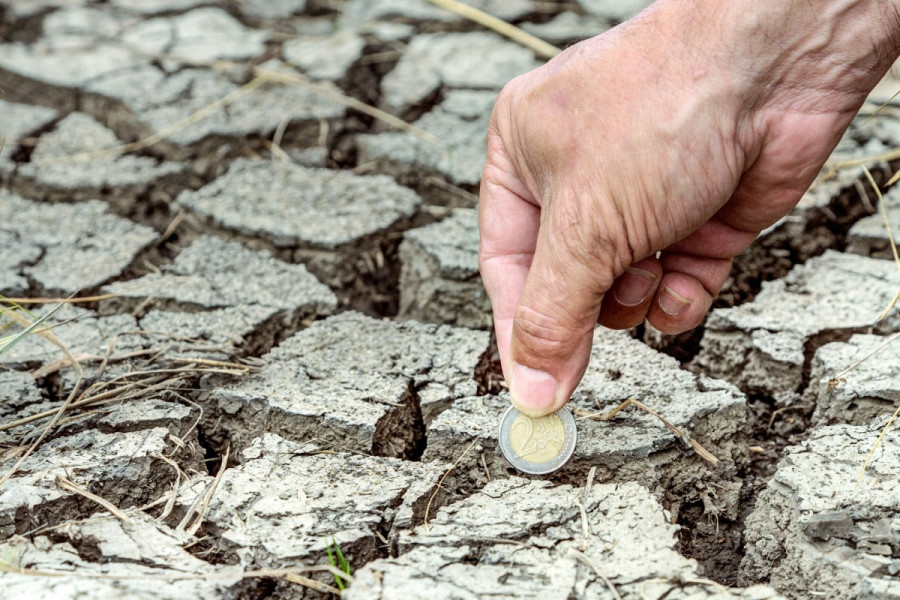 Beyond COP29: Exploring Sustainable Financial Solutions for a Greener Future