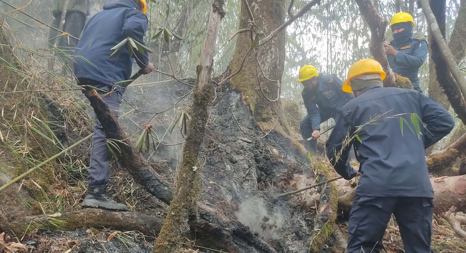 Wildfire continues to rage in Timang forest of Manang